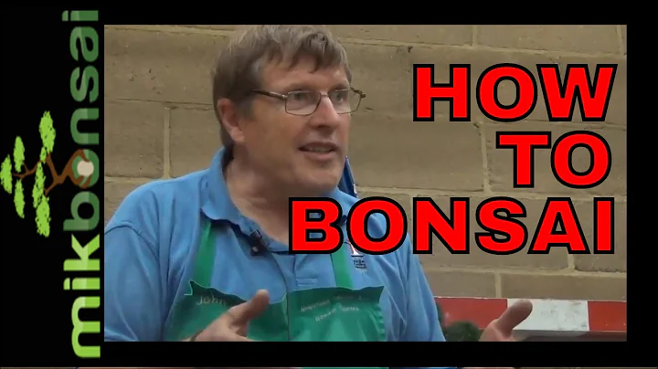 Exclusive ! How to Bonsai and Putting things right...