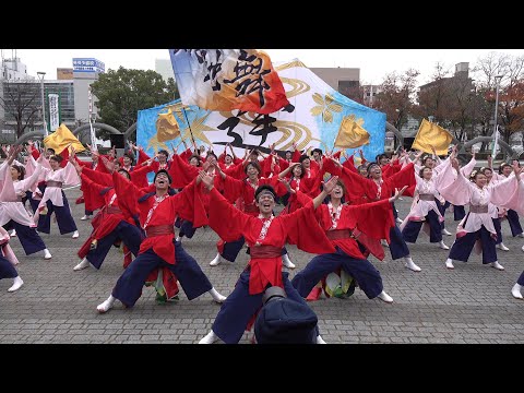 中京大学 晴地舞 @四日市よさこい祭り(市民公園会場) 2017-11-26T15:25