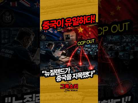 “중국이 유일하다” 뉴질랜드 정보당국이 내놓은 충격 경고 #중국 #뉴질랜드 #간첩 #중국간첩 #첩보전 #정보전 #중국정보전 #NZSIS #국가안보 #국제정세 #뉴스쇼츠