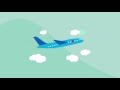 What is Amadeus Travel Payments?