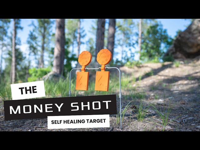 Do All Outdoors Money Shot Double Shooting Target - Spinning Reactive ...