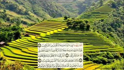 صفحة-175 page سعد الغامدي - -سورة الأعراف -Al-Araf