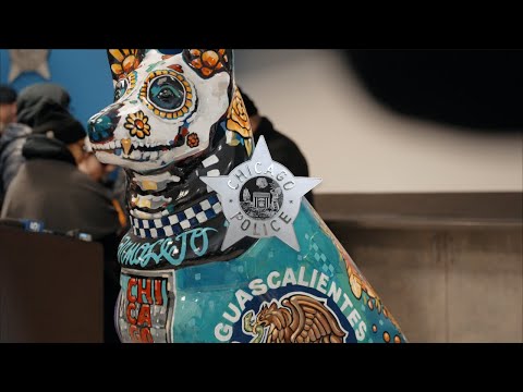 Burglary in Loop, Chicago, IL