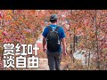 北京赏红叶,闲聊躺平人生必备的三个自由,登山出了点小意外(小叔TV EP282)