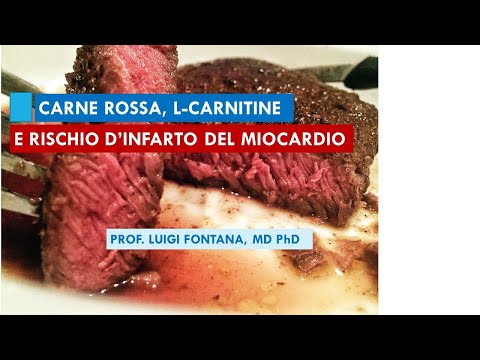l carnitine libido reddit Natural Supplements for Erectile Dysfunction Reddit: What Users Report and  What Science Supports