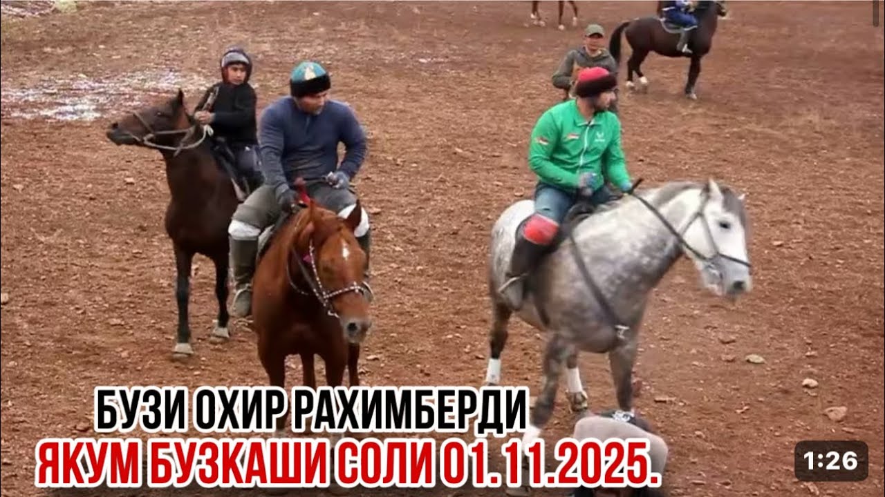 Бузкаши нохияи Б. Гафуров 1 ноября 2025 г.