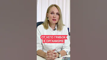 Почему растет грибок кандида в организме человека 📌