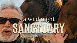 A WILD NIGHT  Sanctuary Episode 7