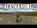 Alaska Hunt / Caribou, Bear, Rams