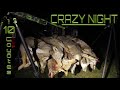 Crazy night of coyote hunting 10 coyotes