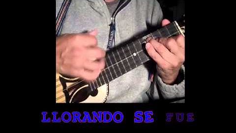 On the Floor in Charango Simple