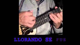 On the Floor in Charango Simple