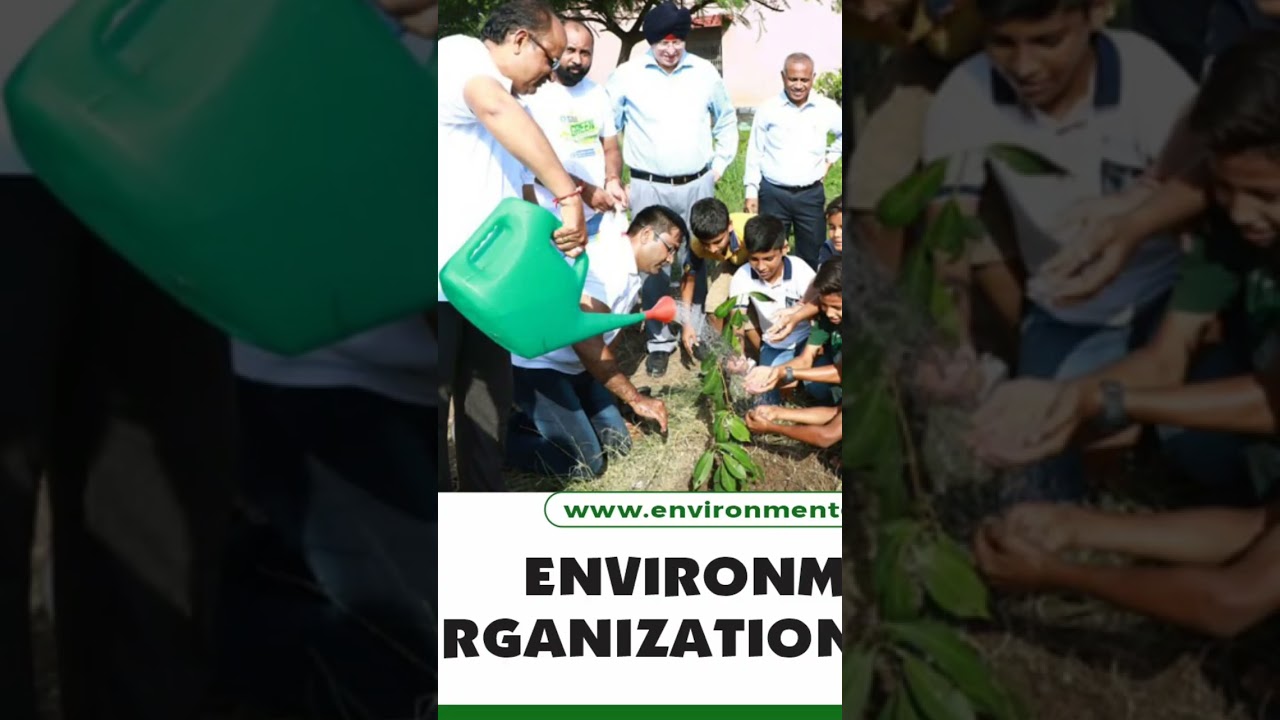 MSC Botany Jobs 2023 