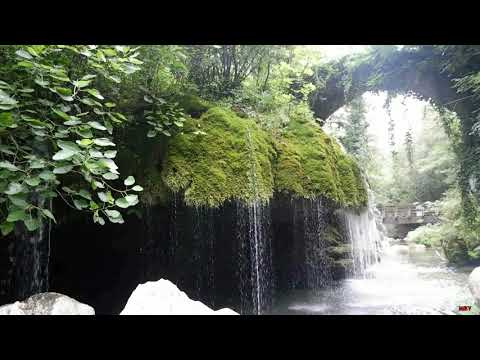 Video: La felce capelvenere crescerà indoor?