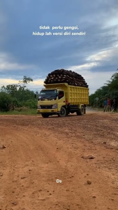 story wa truk sawit||story wa truk mbois