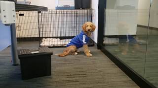 New Office Space | DRMG