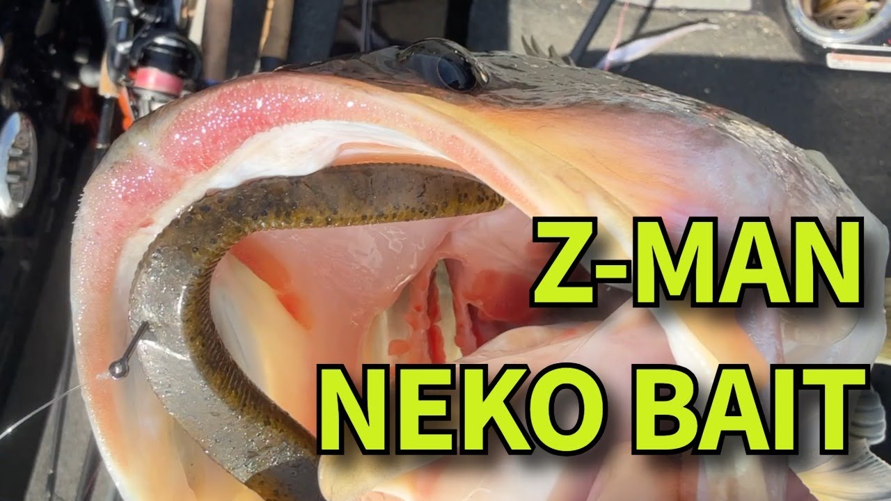 This Z-Man Bait Is PERFECT for the Neko Rig