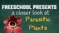Видео по запросу "parasitic nutrition in plants"