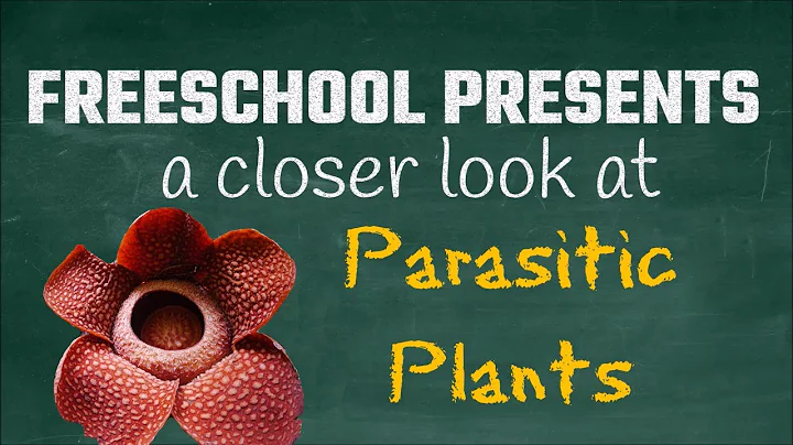 Parasitic Plants: FreeSchool Presents a Closer Look at Hemiparasitic and Holoparasitic Plants - DayDayNews