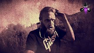 The Loop Brothers Jonne Surfer Song  Soluziones