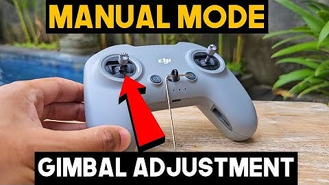 How to Adjust The FPV 3 Controller for Manual Mode - DJI Avata 2
