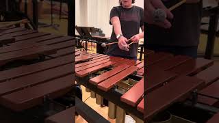 Intro to 4-mallet Motion