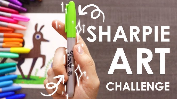 This 65 count @sharpie set is on sale @costco through 11/29! Each box