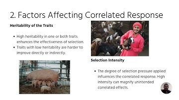 Correlated Response to Selection