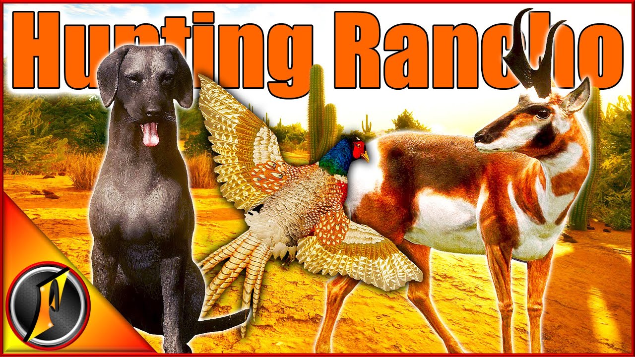 Taking Shadow for a Hunt on Rancho! | theHunter Call of the Wild