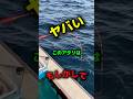 【釣り】ヤバい このアタリは もしかして #釣り #海 #アウトドア