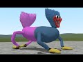 THE HUGGY WUGGY KISSY MISSY CATDOG!! Garry's Mod [Poppy Playtime HuggyKissy]