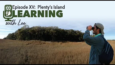 Learning with Lee: Episode XV - Plenty's Island