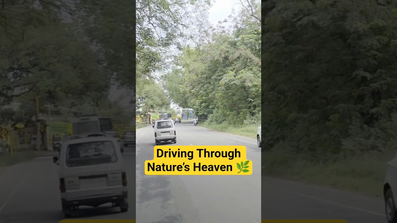 Поездка по райскому уголку природы 🌿 