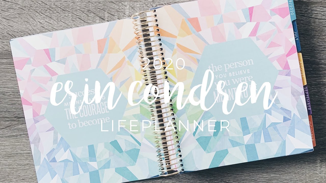 erin condren 2019 2020 lifeplanner sneak peak colorful hourly hourly planner 2020
