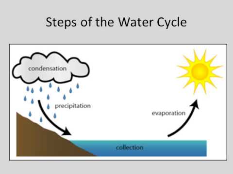 water cycle assignment