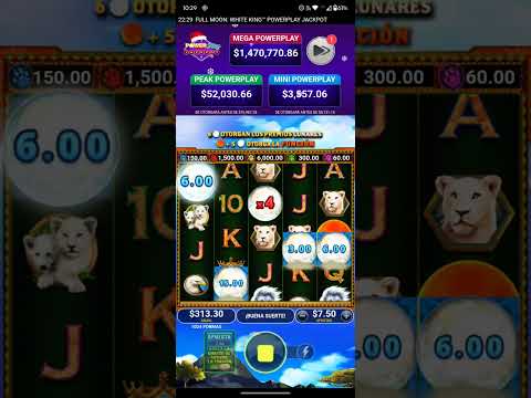 CAMERATA UNAP Casino Español