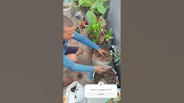 more plantation                 #savetreessavelife  #savetheworld #trending #ytshorts #motivation #