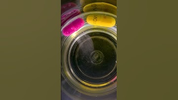 Medical Capsules dissolve in the water #shorts