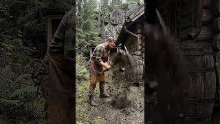 Rainwater Harvesting &amp; Stone Pathway (ASMR) — Smart off-grid upgrades for the forest workshop
