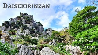 Daisekirinzan (Yanbaru National Park Trail), Okinawa ～やんばる国立公園•大石林山～