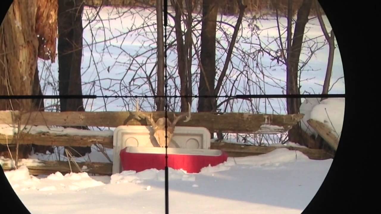 .22 Cal. Air Rifle v.s. Deer Skull YouTube