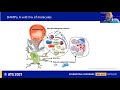 Lung epithelial damage and repair from lung cell death to epithelial repair