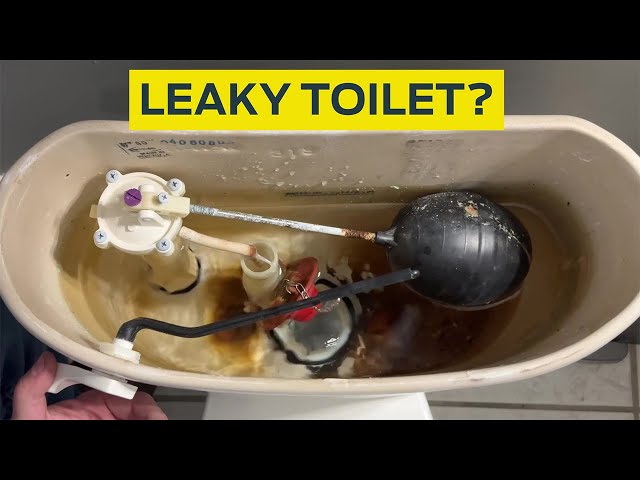 Watch How to: Fix a Leaky Toilet on YouTube.