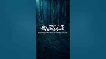 {فَاصْبِرْ لِحُكْمِ رَبِّكَ وَلَا تُطِعْ مِنْهُمْ آثِمًا أَوْ كَفُورًا} سورة الإنسان 24-26