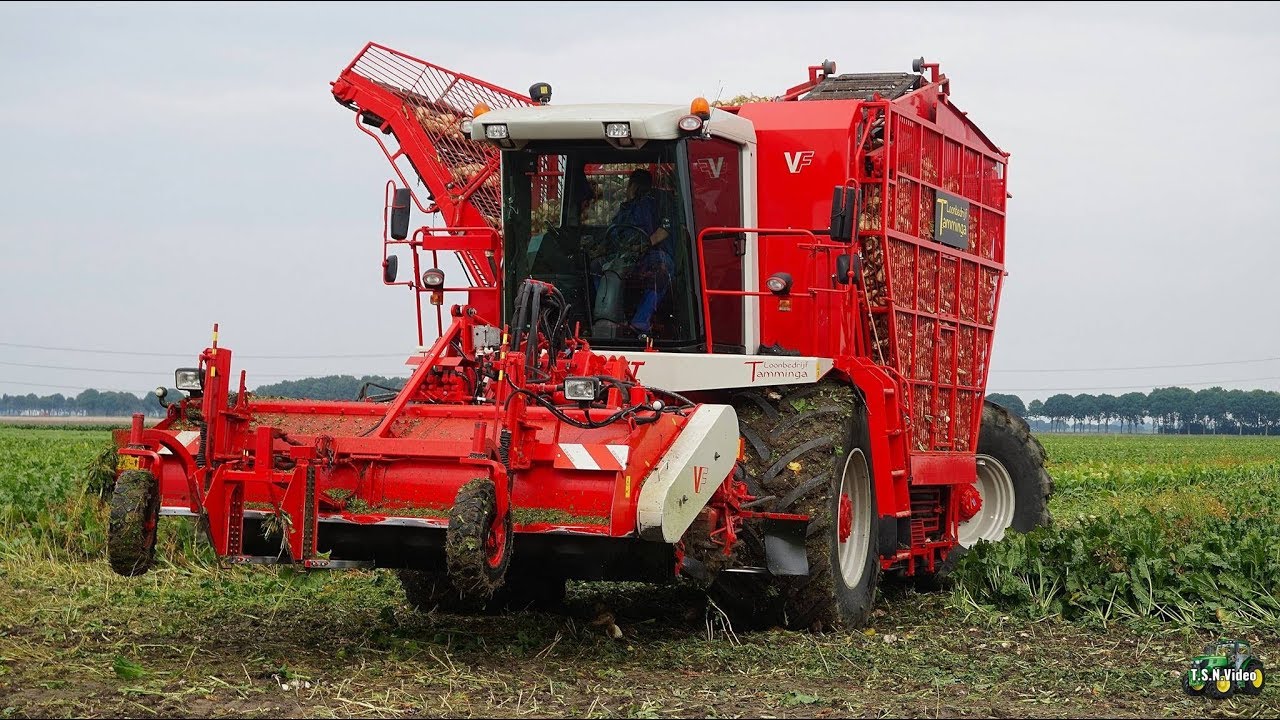 Bietenoogst 2017 op volle toeren met VERVAET 617. Lb.Tamminga