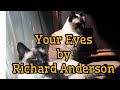 YOUR EYES Lyrics Richard Anderson
