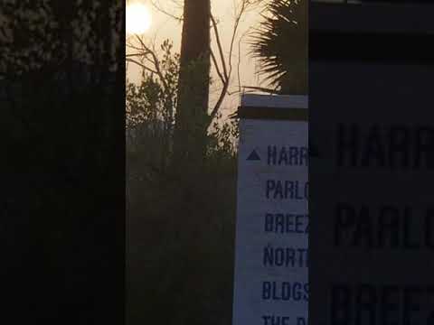 Beautiful sunset on da gulf of Mexico. 👍🏻 - YouTube