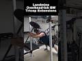 Build Massive Triceps With This Landmine Hack #bodybuilding #workout #muscle