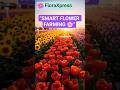 “Smart Flower Farming 🌸 | Modern Agricultural Technology” #aestheticflowers #aestheticflowers