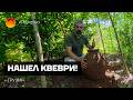 КАК ДЕЛАЛИ ВИНО В ГРУЗИИ 1000 ЛЕТ НАЗАД НАШЕЛ СТАРЫЙ КВЕВРИ КАК ДЕЛАЛИ ВИНО В ГРУЗИИ 1000 ЛЕТ НАЗАД НАШЕЛ СТАРЫЙ КВЕВРИ